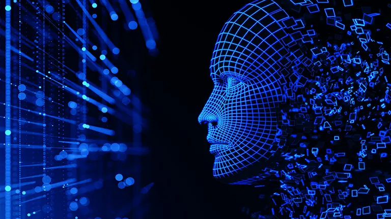 cohesive and immersive experience that